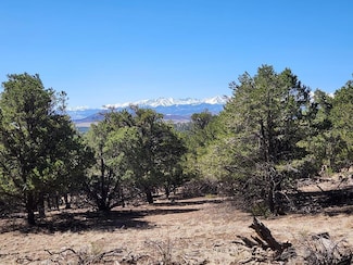 TBD L Path, Cotopaxi, CO 81223