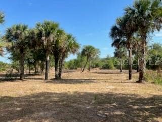 16642 NW 286th St, Okeechobee, FL 34972