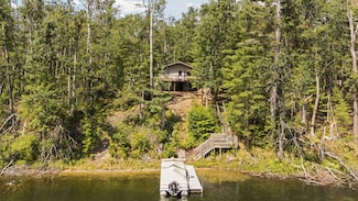 7501 Douglas Lake Rd, Johannesburg, MI 49751