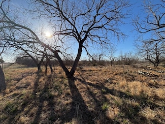 TBD W Concord Loop, Grape Creek, TX 76901