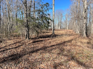 0 Fern Hill Rd Unit 1504818, Pikeville, TN 37367