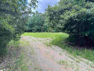 1608 Saint Philips Church Rd, Prosperity, SC 29127