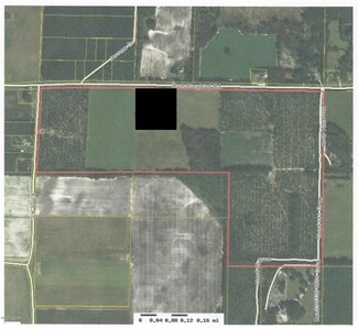 XXXX Hummingbird Rd, Bascom, FL 32423