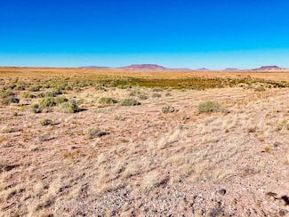 Tbd Unnamed Dirt Rd, Winslow, AZ 86047