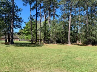 0 Tract Ba-1 Ivy Springs Dr, Independence, LA 70443
