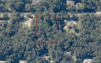893 W Pearson St, Hernando, FL 34442