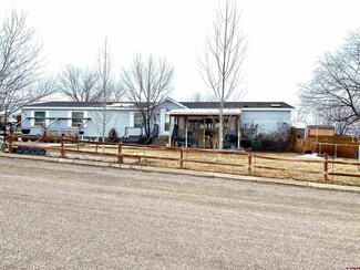 1410 S Chestnut St, Cortez, CO 81321