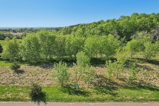 Lot 10 Block 5 Silo Ct, Franconia Township, MN 55074