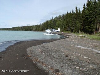 L1 B5 Tustumena Lake Rd, Kasilof, AK 99610