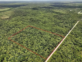 0 Maggie Jones Rd Unit MFRG5098336, Paisley, FL 32767
