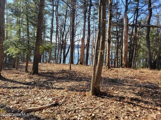 56 Blue Heron Dr Unit Lot 2, Sand Lake, NY 12018