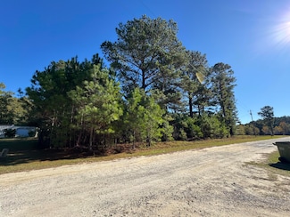 00 Winding Pond Rd, Manning, SC 29102