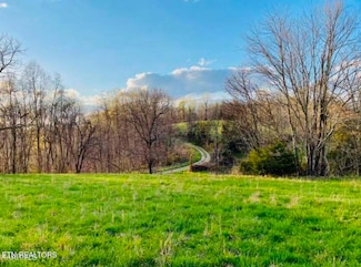 0 Chestnut Grove Rd, New Tazewell, TN 37825