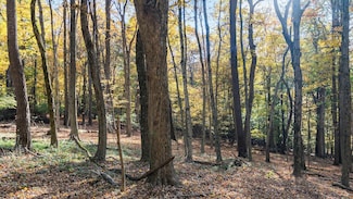 0 Dorrence Rd, Granville Township, OH 43023