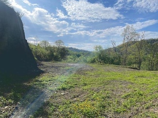 164 Old Mare Creek Rd, Stanville, KY 41659