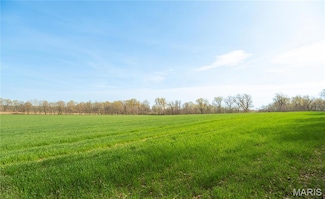 123 County Road 639, Dexter, MO 63841