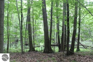 TBD N Ferris Rd, Sumner, MI 48889