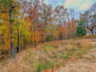 Lot 1 Block 5 Wigtown Ln, Bella Vista, AR 72715