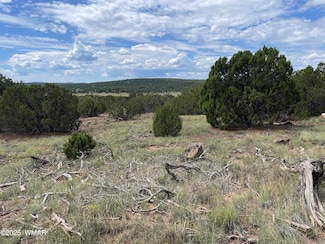 35 Burns Rd, Concho, AZ 85924