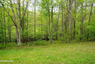 Lot 56 Glade Place, Monterey, TN 38574