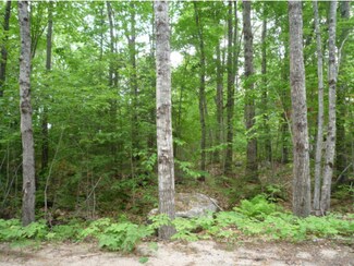 48 Mirror Lake Dr, Mirror Lake, NH 03853