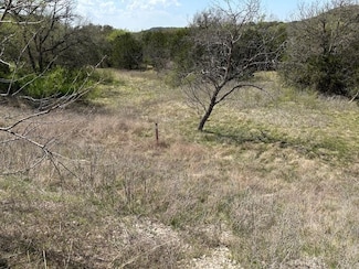 525 Frog Branch Ct, Graford, TX 76449