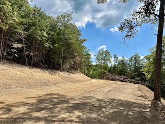 424- TRACT 4 Kentucky 577, Fogertown, KY 40962