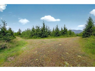 5 Parpala Rd, Naselle, WA 98638