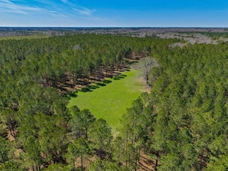 5455 Harrison-Davisboro Rd, Davisboro, GA 31018