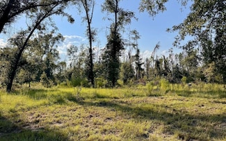LOT2F SW 52nd Ln, Jasper, FL 32052
