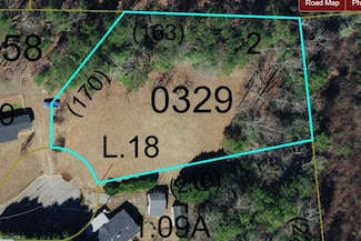 213 Green Walnut St, Traphill, NC 28685