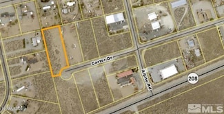 3880 Carter Dr, Wellington, NV 89444