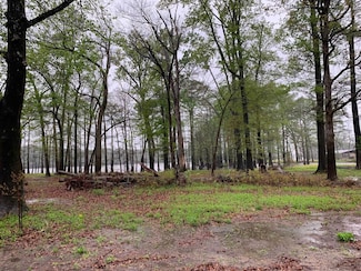 00 Chisholm Lake Spur Rd, Ripley, TN 38063