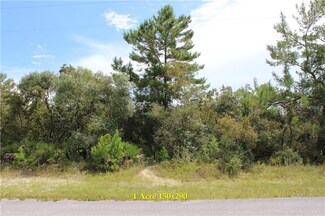 Lot 7 Larkspur Ave, Eustis, FL 32736