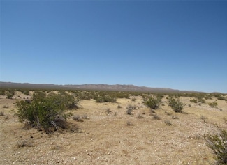 0 0446032280000 Unit 24007571, Lucerne Valley, CA 92356