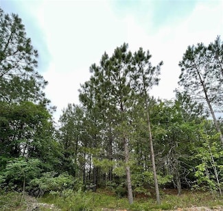 685 Ridge Rd, Watson, OK 74963