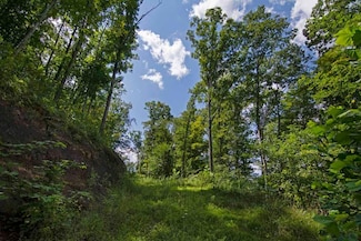 0 Hungards Creek Rd Unit 22706970, Dawson, WV 24910