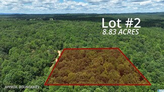 0 Pinetuckey Ln Unit 8 21394910, Heflin, AL 36264