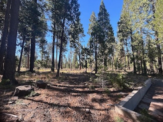 7596 Long Hay Flat Rd, Shingletown, CA 96088