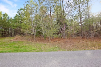 21 Cottrell Ridge Rd, Dover, TN 37058
