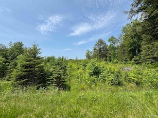 9627 Bb Rd, Ensign Township, MI 49878