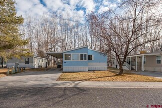 901 6530 Rd Unit 3607, Montrose, CO 81401