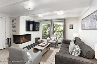 901 E Hyman Ave Unit 9, Aspen, CO 81611