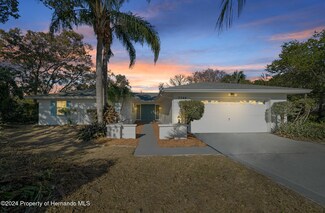 3344 Sailfish Ct, Spring Hill, FL 34608