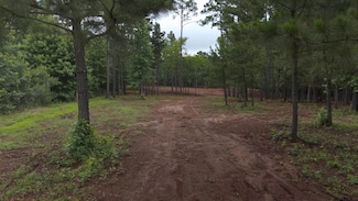 11295 Moser Ln, Whitehouse, TX 75791