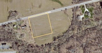 VL Lambs Rd, Wales Township, MI 48027
