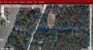 tbd NE 11th Place, Williston, FL 32696