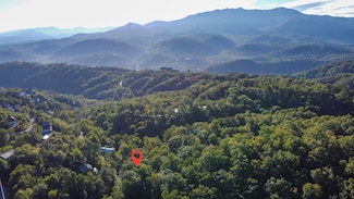 40 Twin Oaks Rd, Gatlinburg, TN 37738
