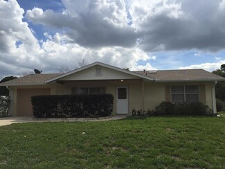 1110 Loblolly Ln, Port Orange, FL 32129