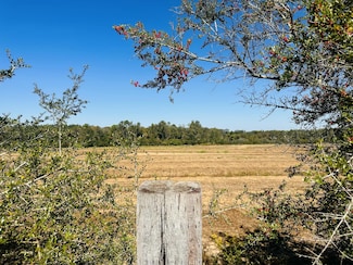 Lot 7 Florida 2, Esto, FL 32425